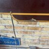 Schlitz Beer Tavern Marquee